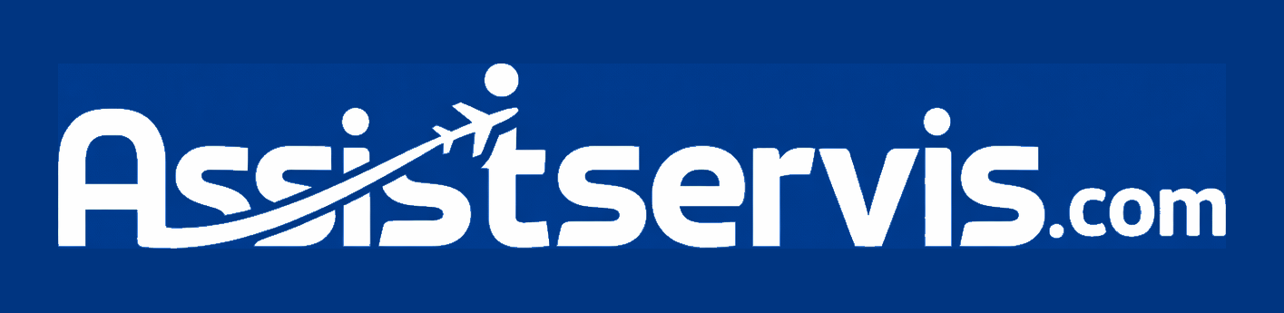 Assist Servis Logo